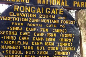 Rongai-gate-2 Rongai-gate-2